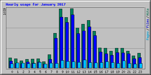 Hourly usage for January 2017